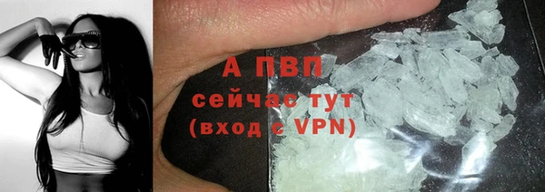 спайс Верея