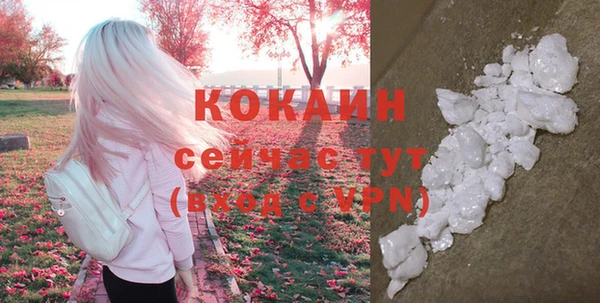 спайс Верея