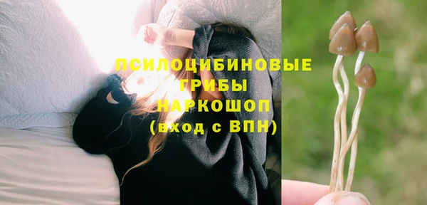 спайс Верея