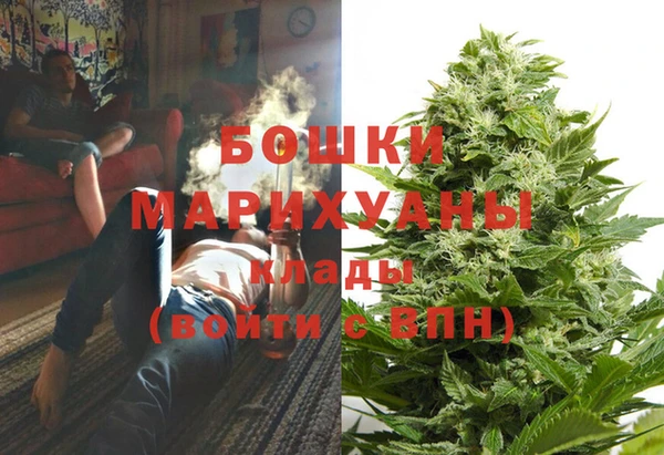 спайс Верея